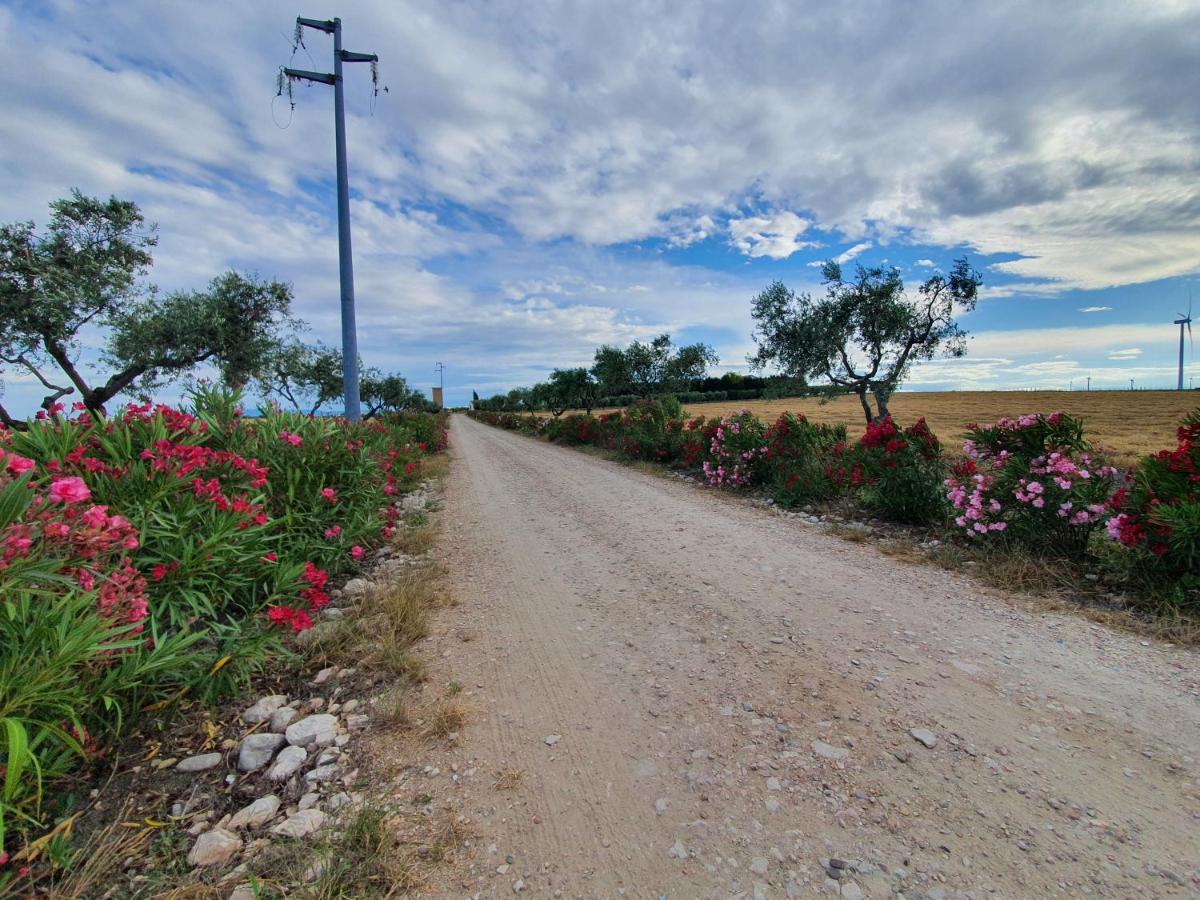 Tenuta Viale Degli Ulivi San Martino in Pensilis Luaran gambar