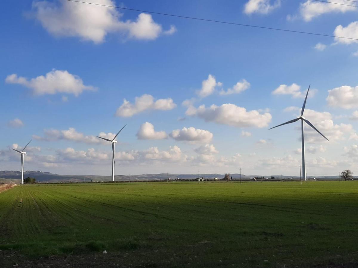 Tenuta Viale Degli Ulivi San Martino in Pensilis Luaran gambar