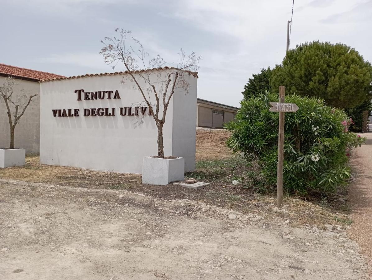 Tenuta Viale Degli Ulivi San Martino in Pensilis Luaran gambar
