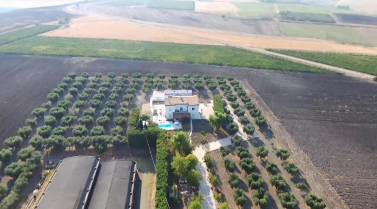 Tenuta Viale Degli Ulivi San Martino in Pensilis Luaran gambar