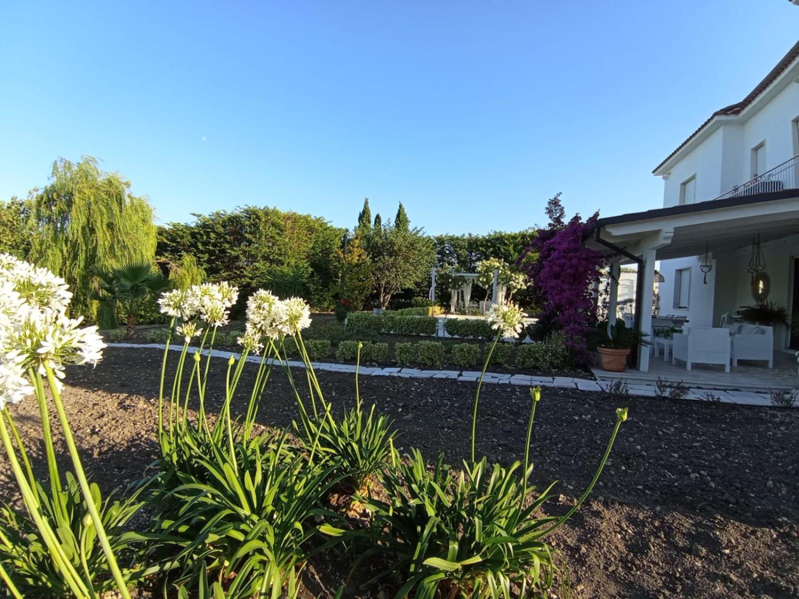 Tenuta Viale Degli Ulivi San Martino in Pensilis Luaran gambar