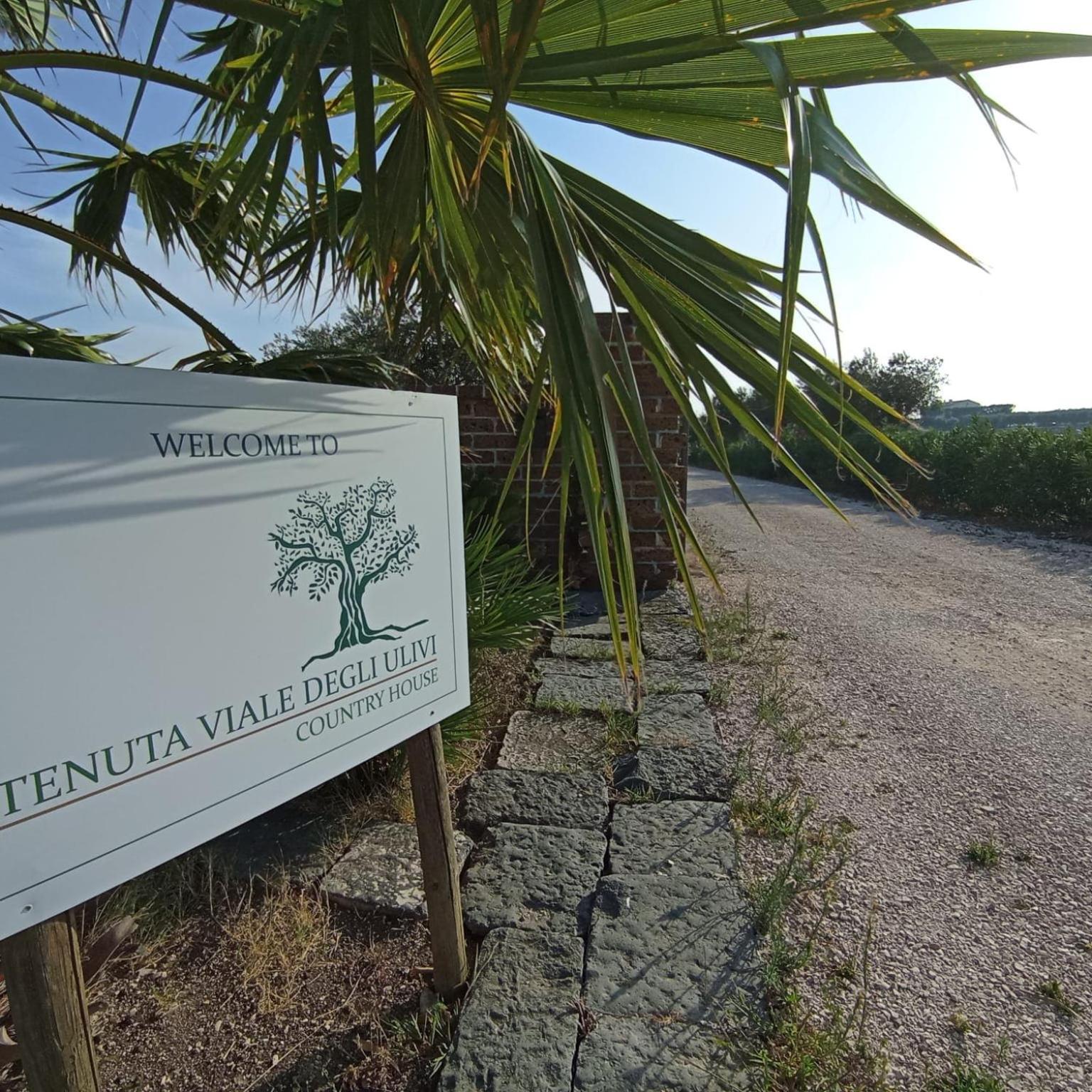 Tenuta Viale Degli Ulivi San Martino in Pensilis Luaran gambar