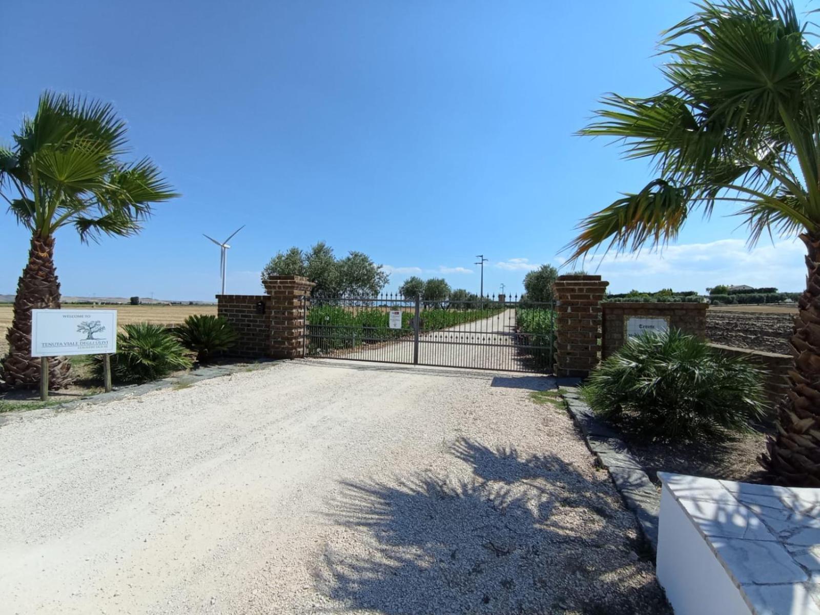 Tenuta Viale Degli Ulivi San Martino in Pensilis Luaran gambar