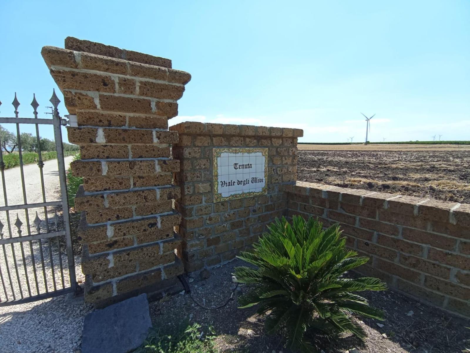 Tenuta Viale Degli Ulivi San Martino in Pensilis Luaran gambar