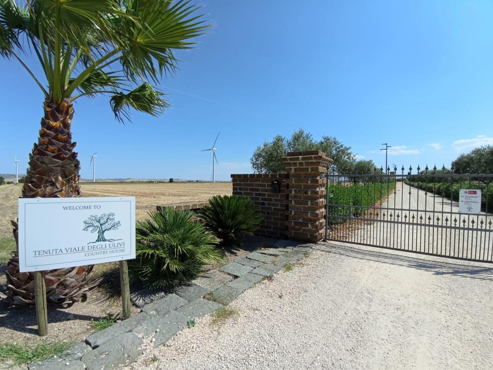 Tenuta Viale Degli Ulivi San Martino in Pensilis Luaran gambar