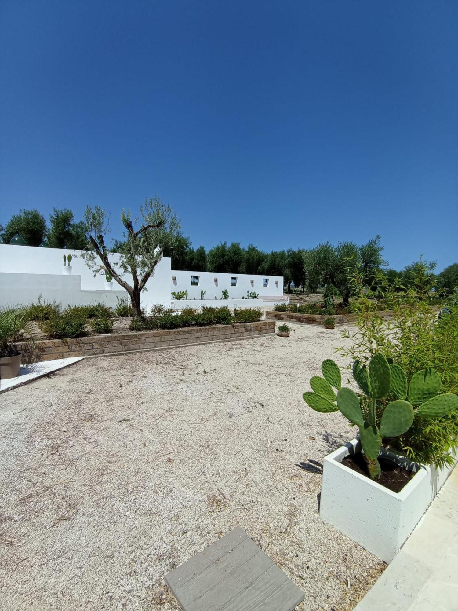 Tenuta Viale Degli Ulivi San Martino in Pensilis Luaran gambar