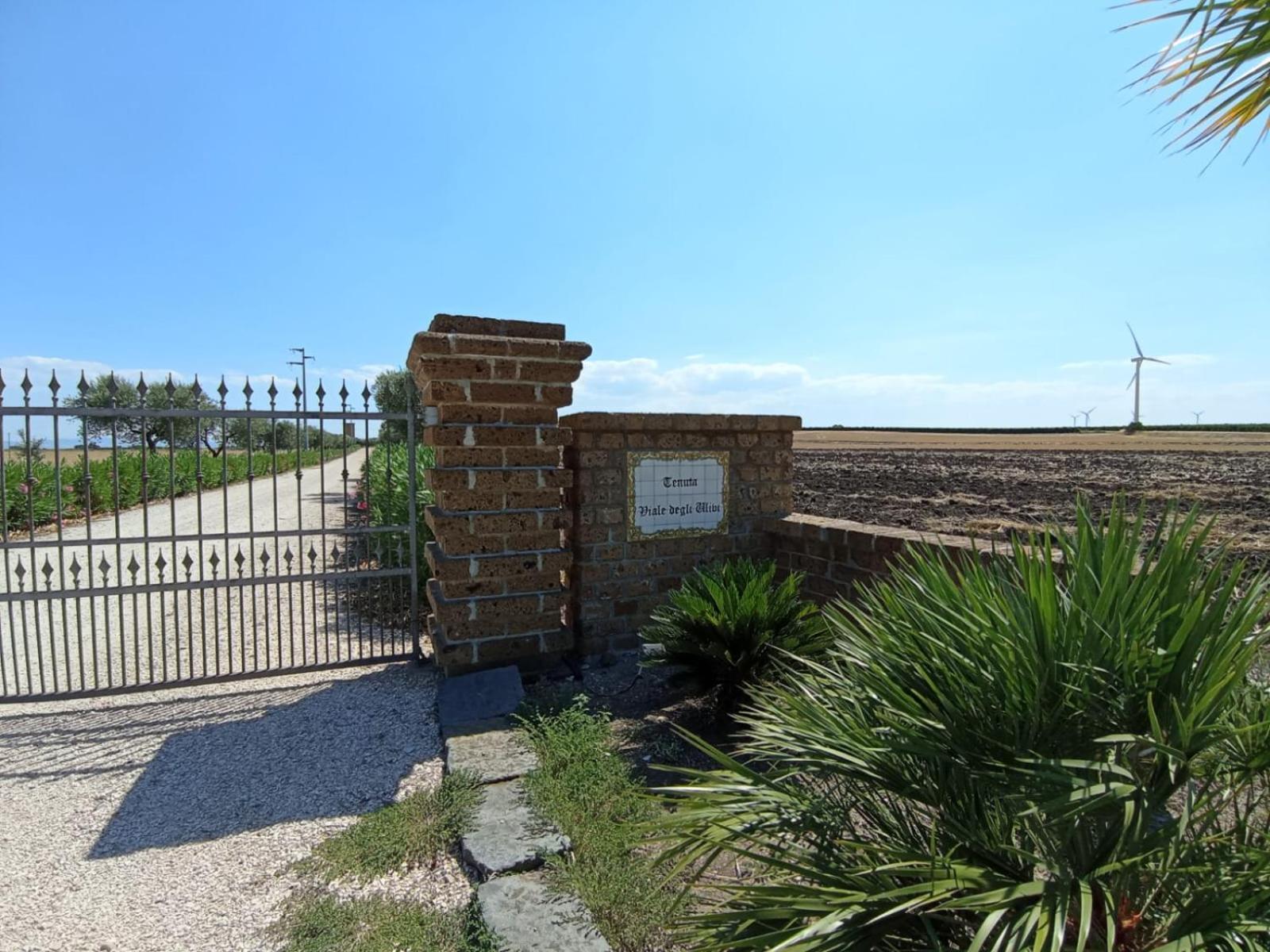 Tenuta Viale Degli Ulivi San Martino in Pensilis Luaran gambar