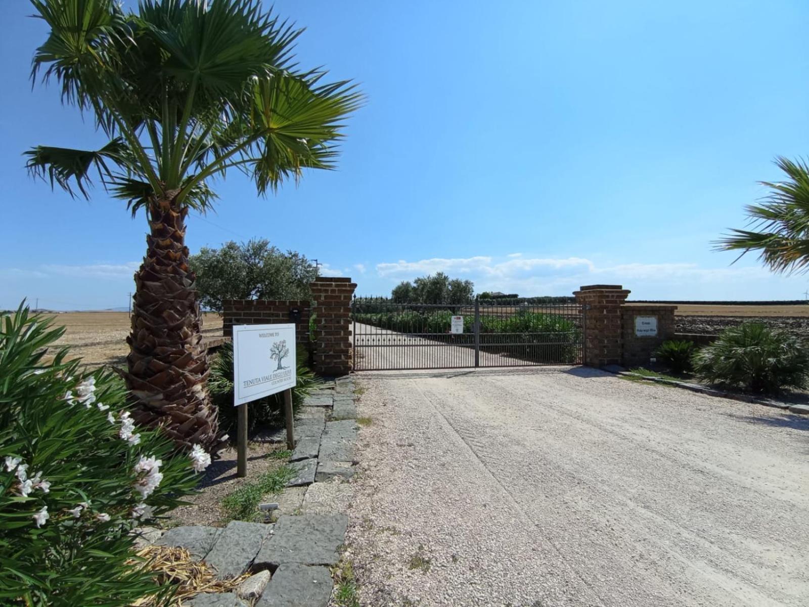 Tenuta Viale Degli Ulivi San Martino in Pensilis Luaran gambar