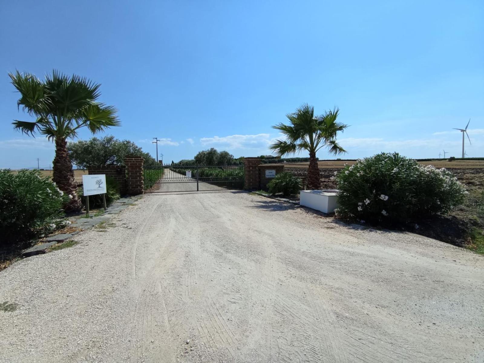 Tenuta Viale Degli Ulivi San Martino in Pensilis Luaran gambar